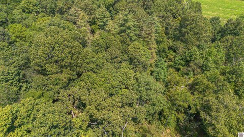 Large Hunting Land Parcel
