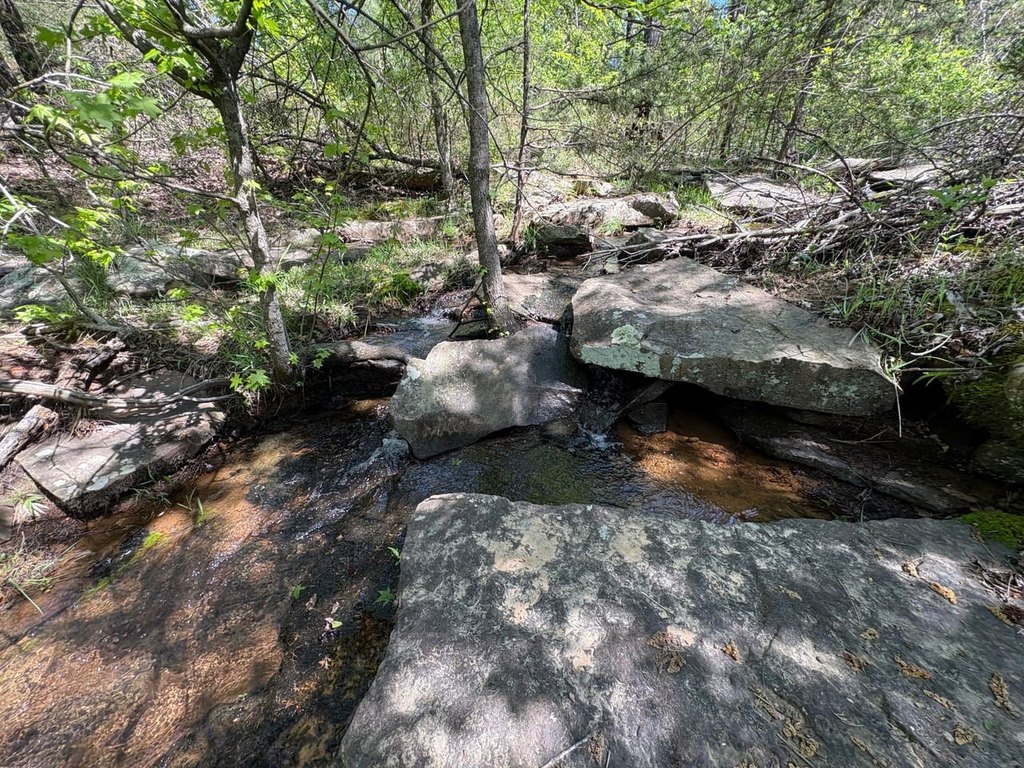 Picture 48