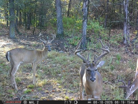 242 Acres Vacant Land
