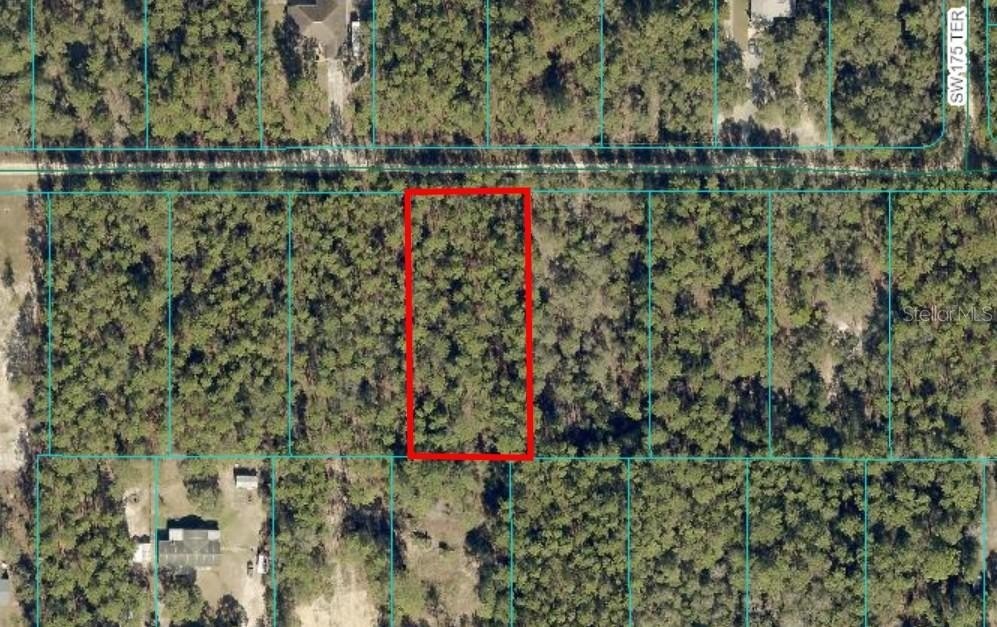 Land Near Rainbow River