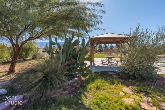 Picture 45
