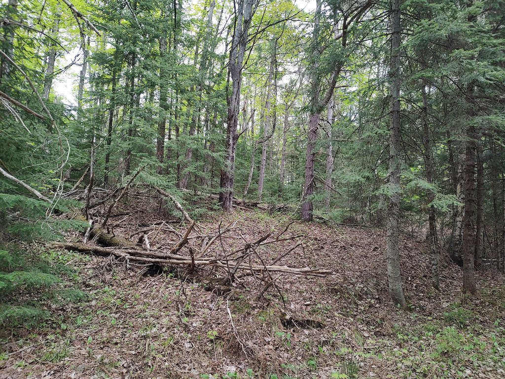 Picture 29