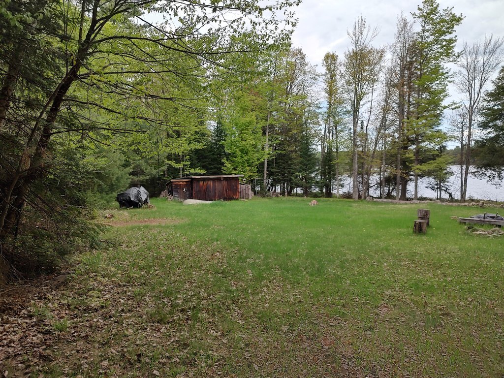 Picture 16