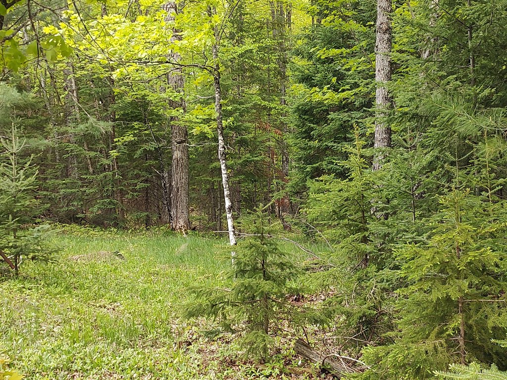 Picture 36