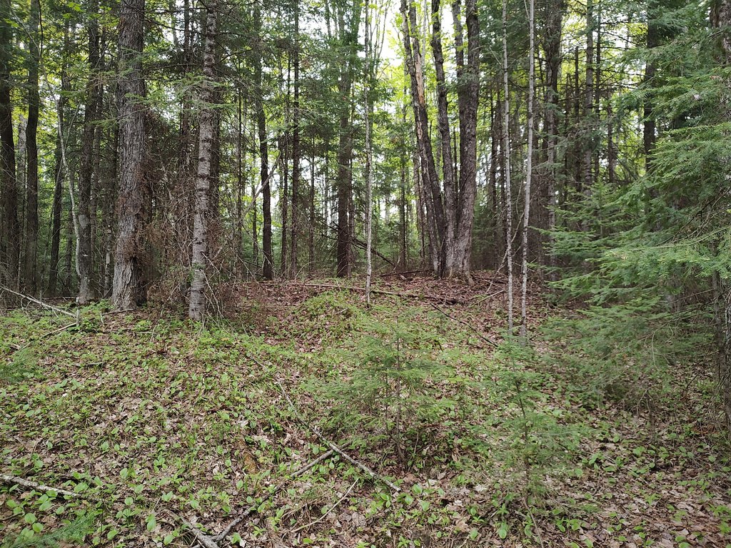 Picture 28