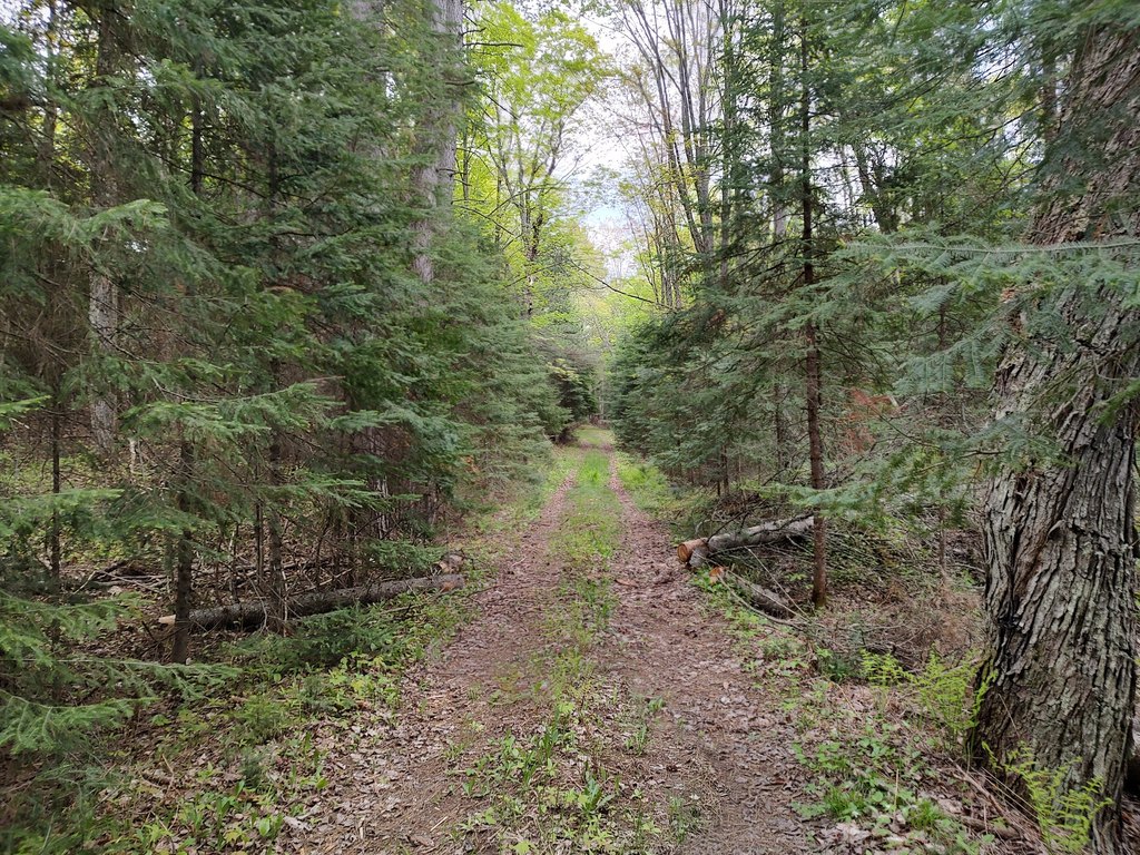 Picture 27