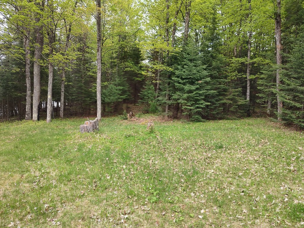 Picture 30