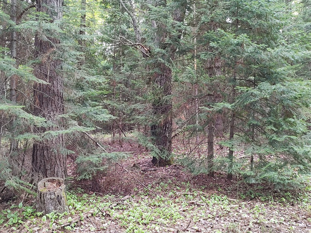 Picture 25
