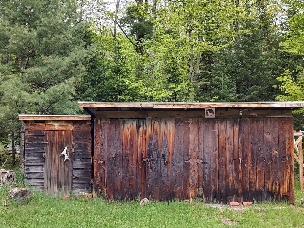 Picture 14