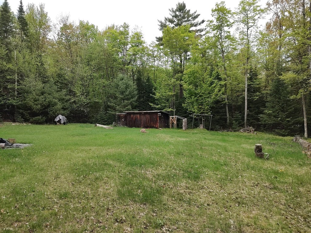 Picture 31