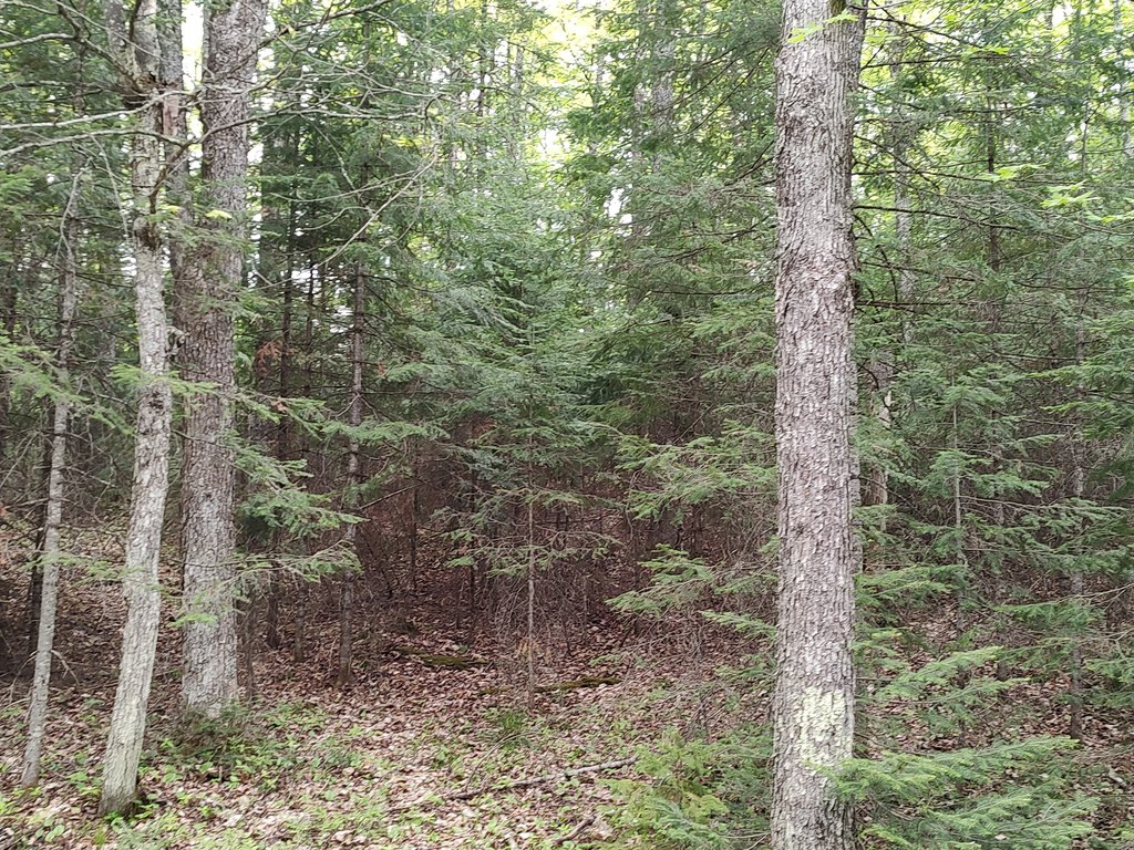 Picture 22