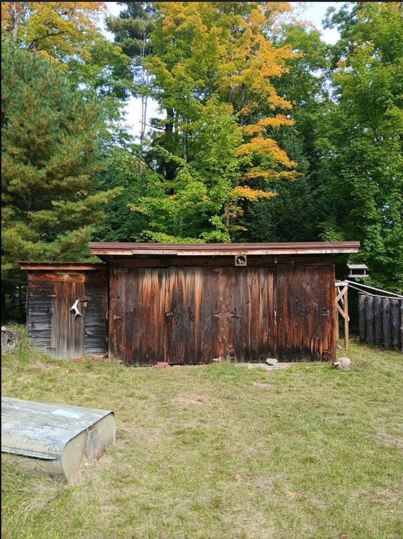 Picture 5