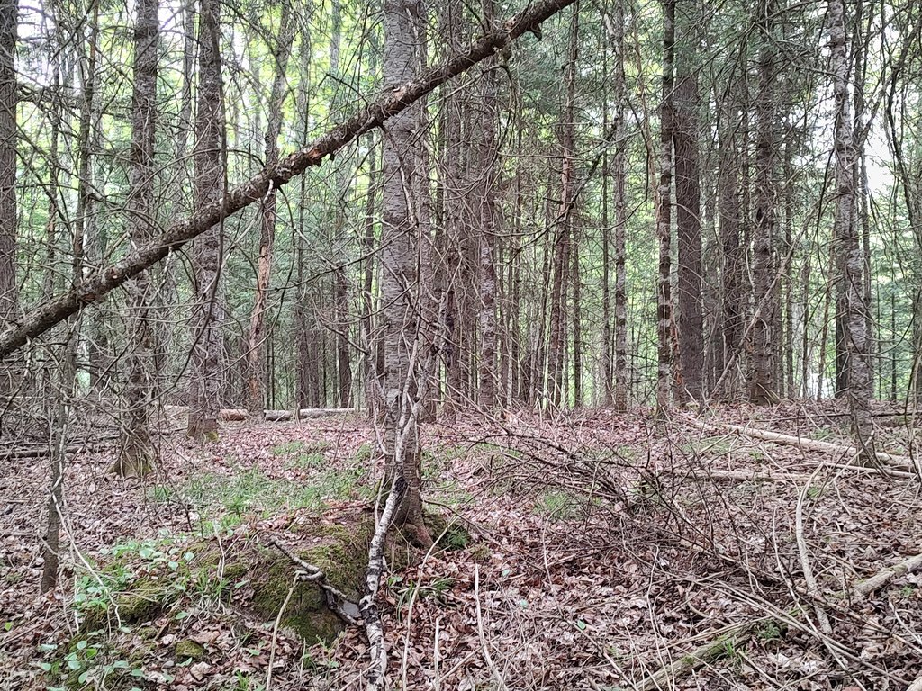 Picture 19
