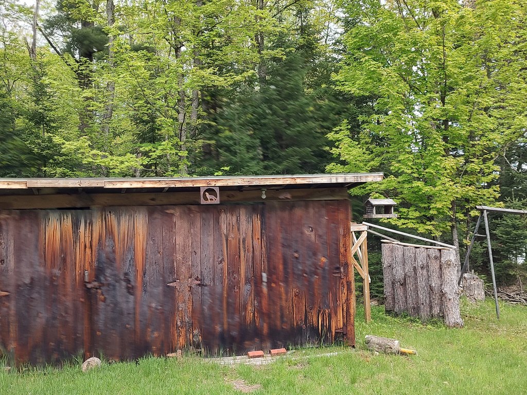Picture 15