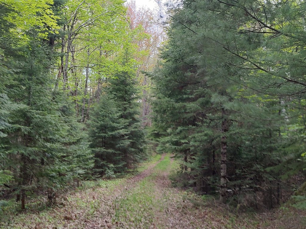 Picture 20
