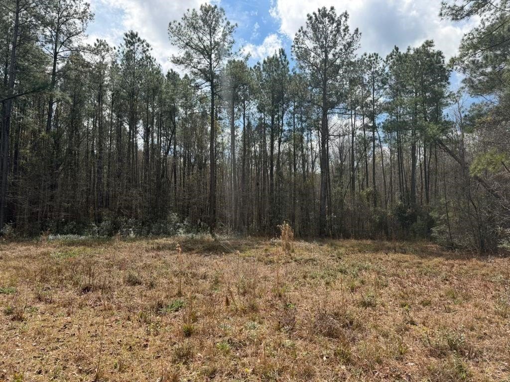 Picture 19