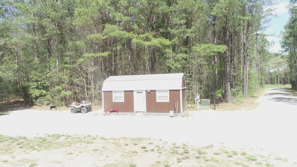 Picture 11