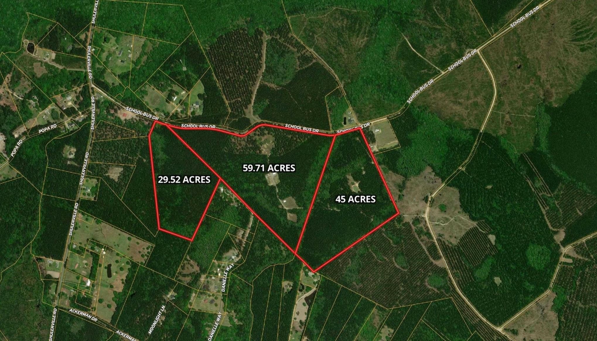 Coastal Lowcountry Sporting Property