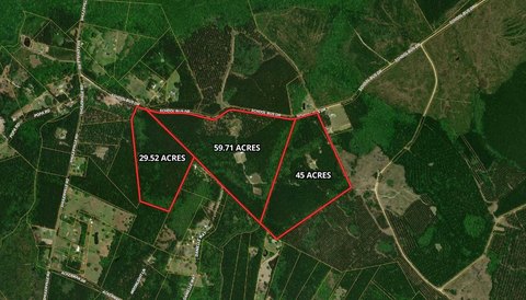 Coastal Lowcountry Sporting Property