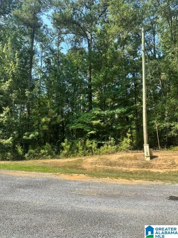Picture 17