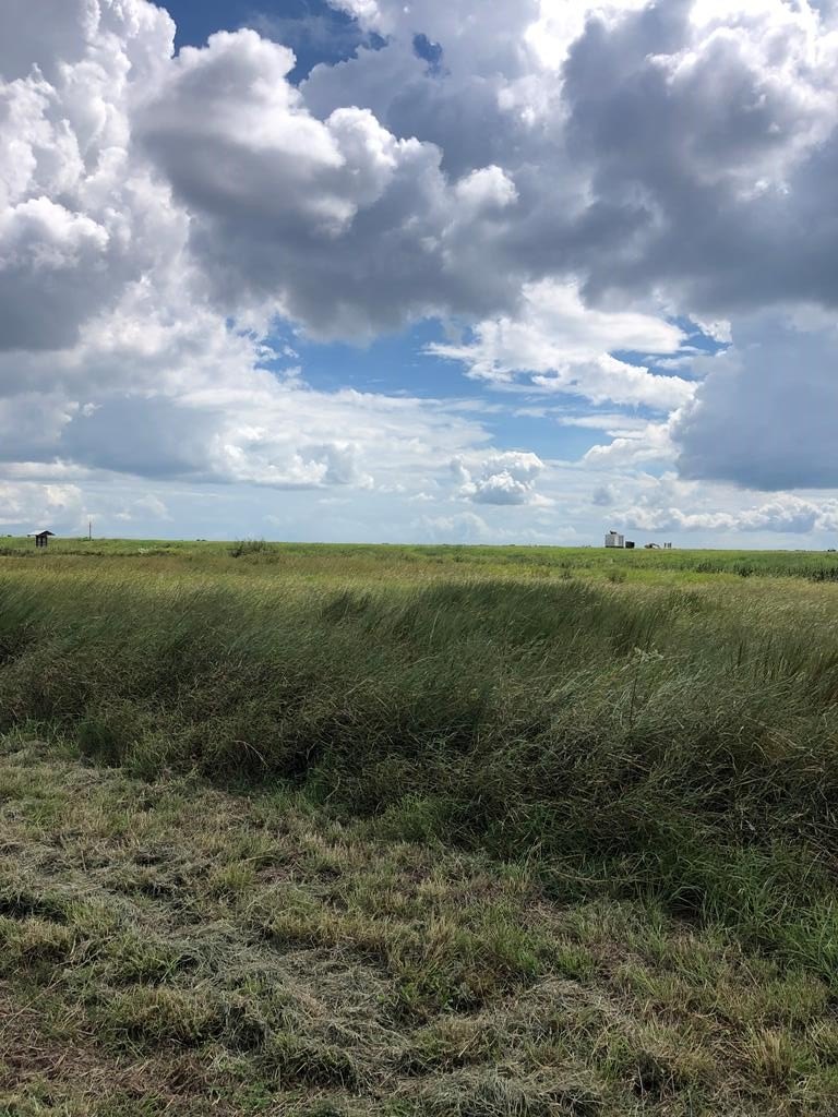 Palacios, TX Lot For Sale