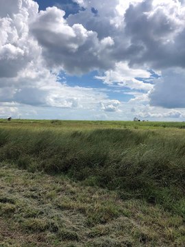 Palacios, TX Lot For Sale