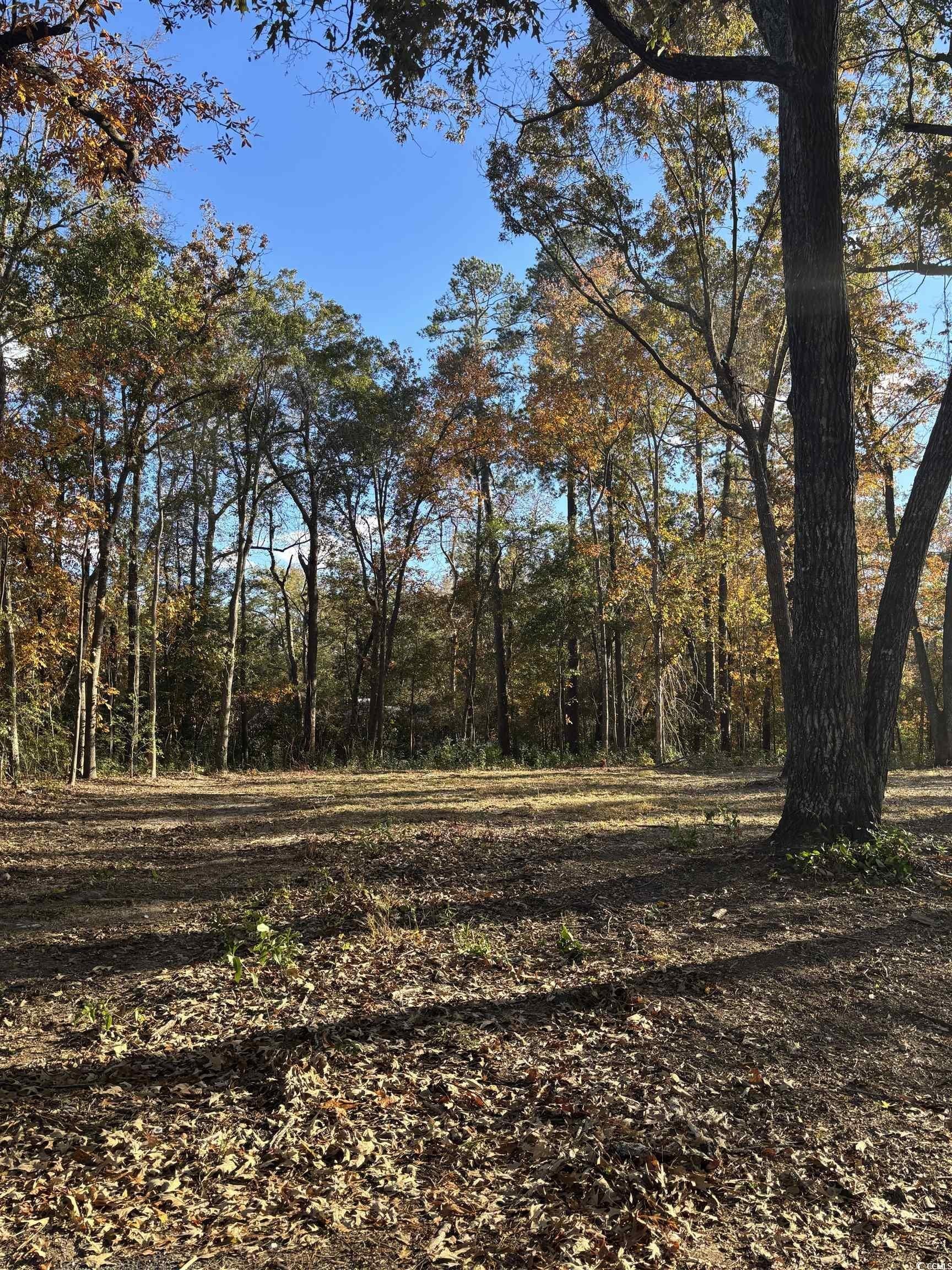 Cleared Lot in Johnsonville, SC