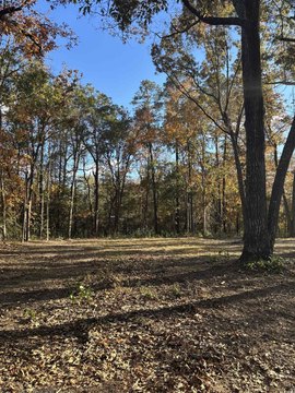 Cleared Lot in Johnsonville, SC