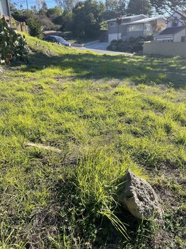 LAND - El Cerrito, CA