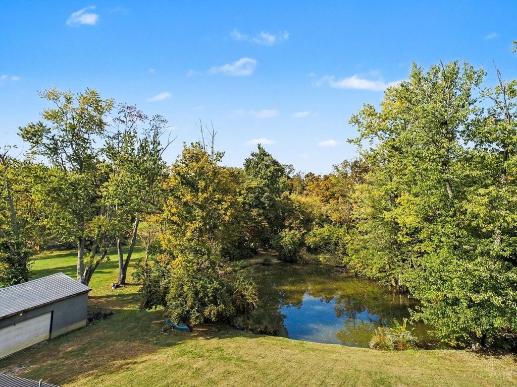 Picture 8