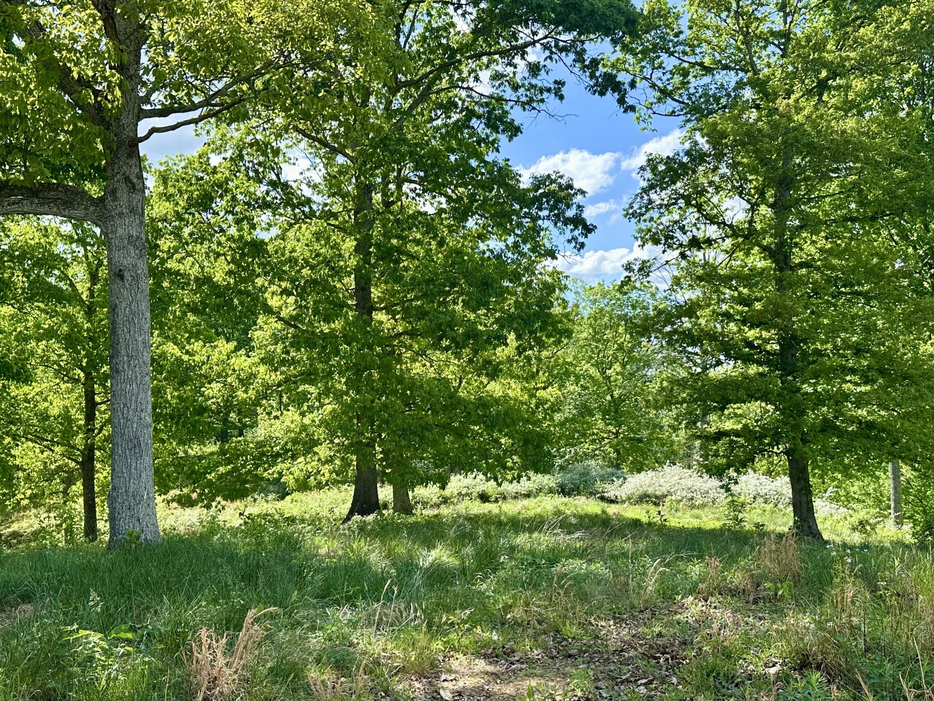Land with Scenic Farm Views