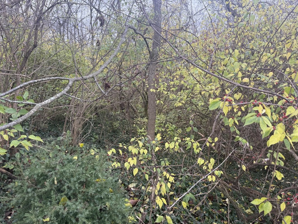 Picture 15