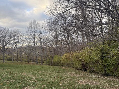 Residential Lot in Seven Oaks