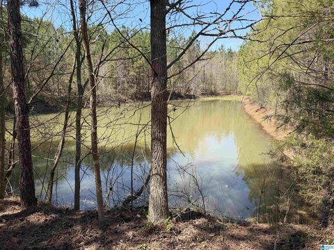 LAND - WADLEY, AL