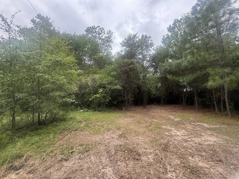 Multi-Family, New Ellenton, SC