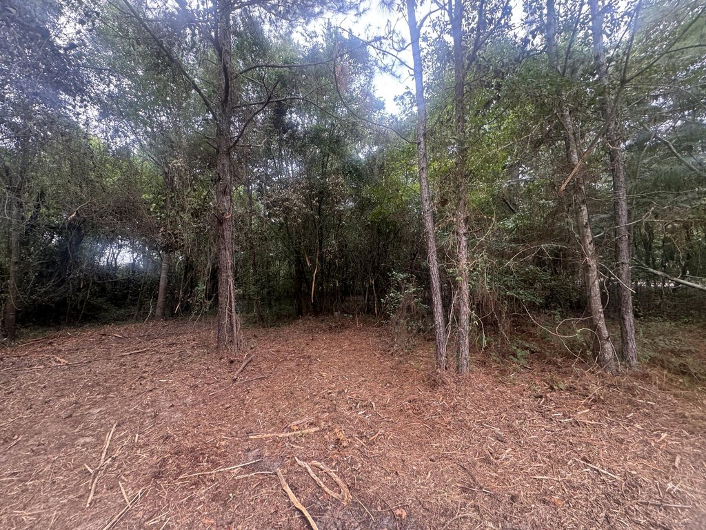 Picture 3