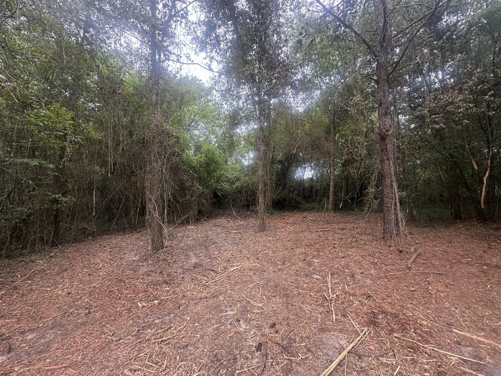 Picture 4