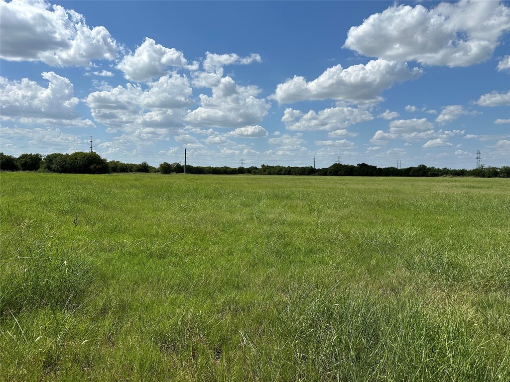 Picture 12