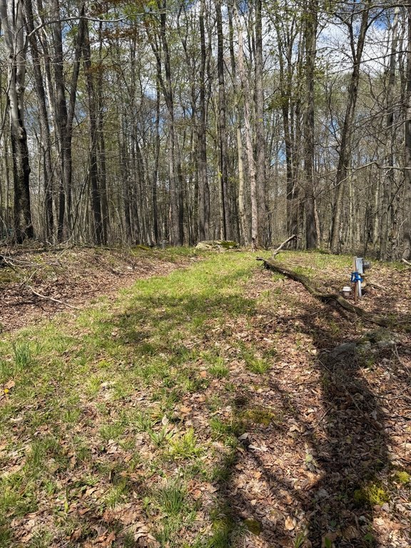 Picture 5