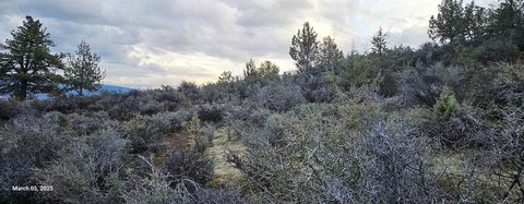 Hornbrook Land with Mountain Views