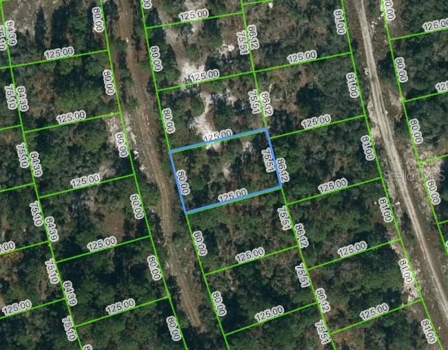 Residential Land in Lake Placid