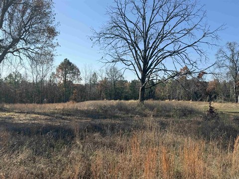 Residential Land in Clinton, AR