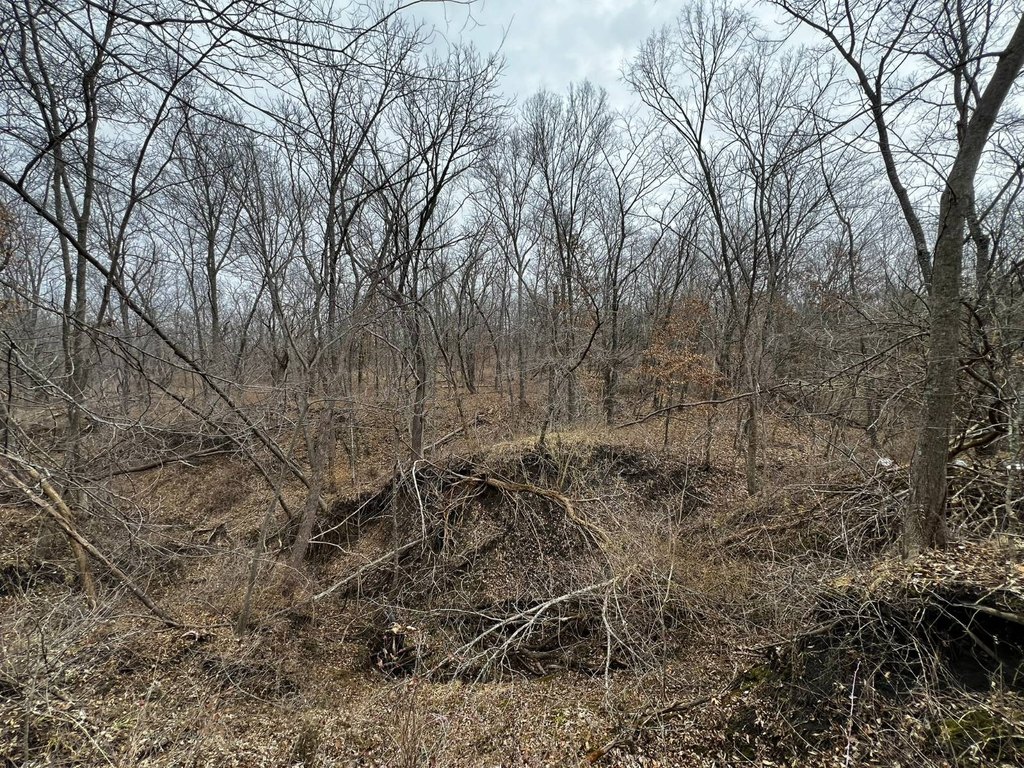 Picture 17