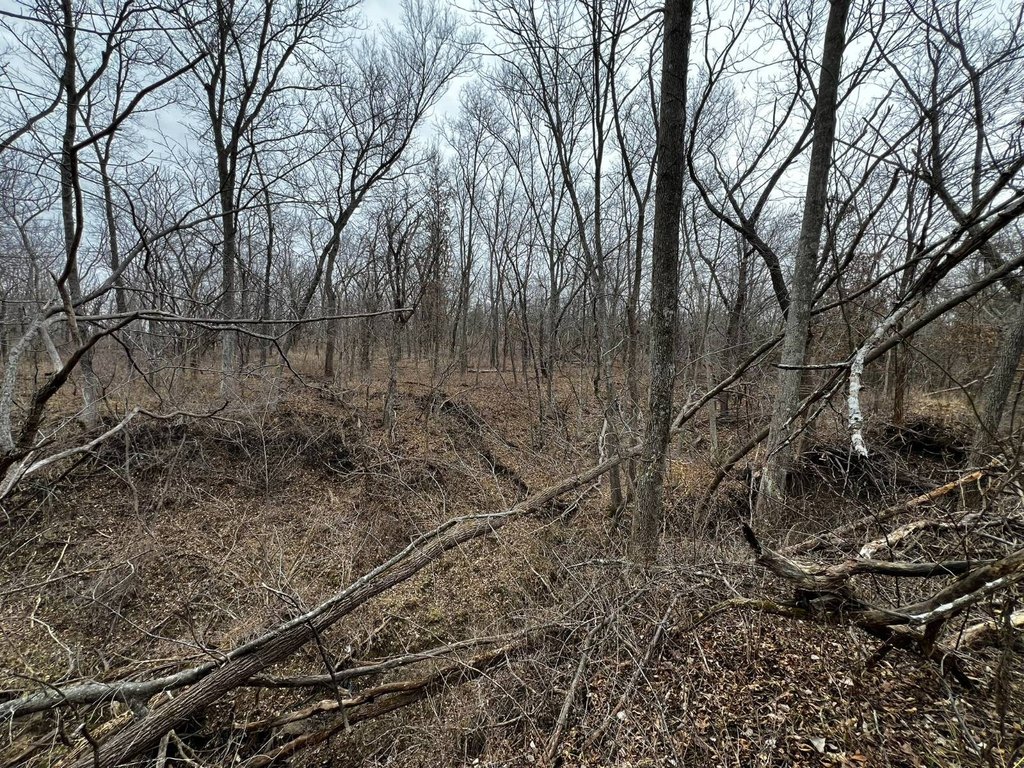 Picture 25
