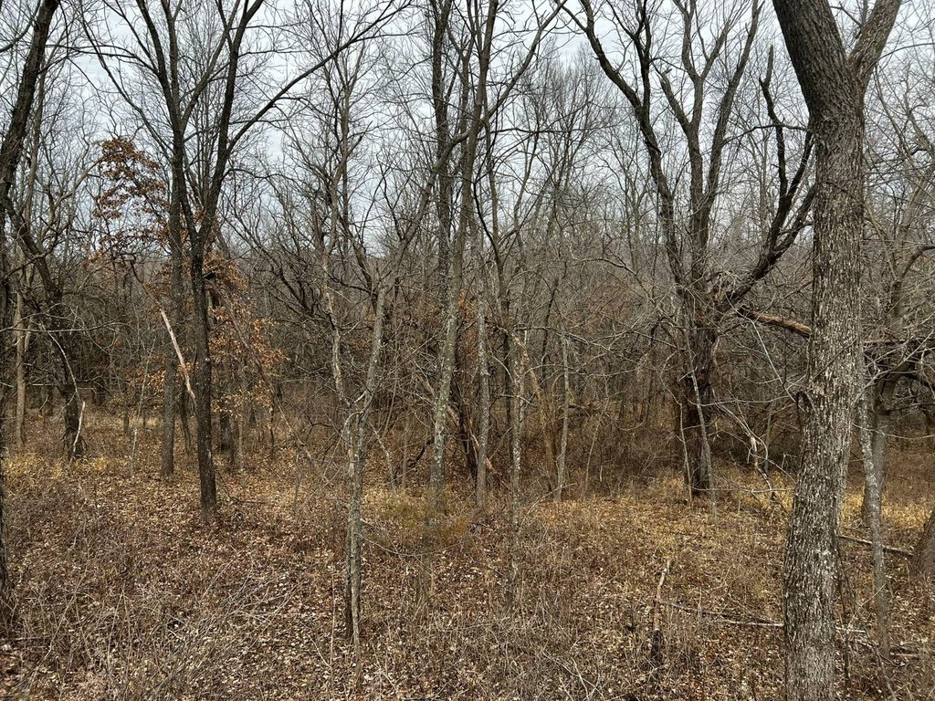 Picture 15