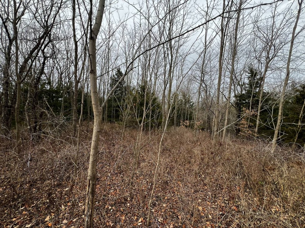 Picture 11