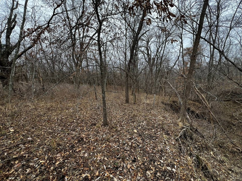 Picture 18