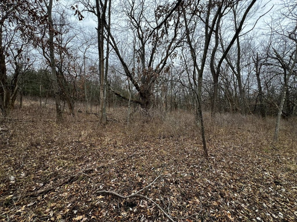Picture 22