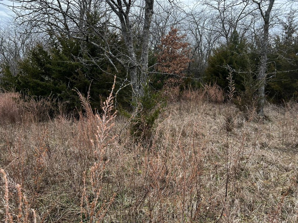 Picture 27