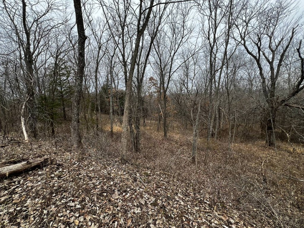 Picture 33